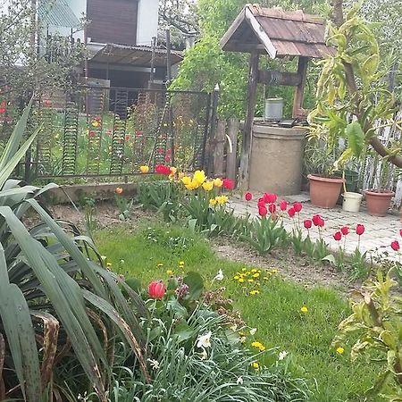 Alom Kucko Apartman Zalaegerszeg Exterior photo